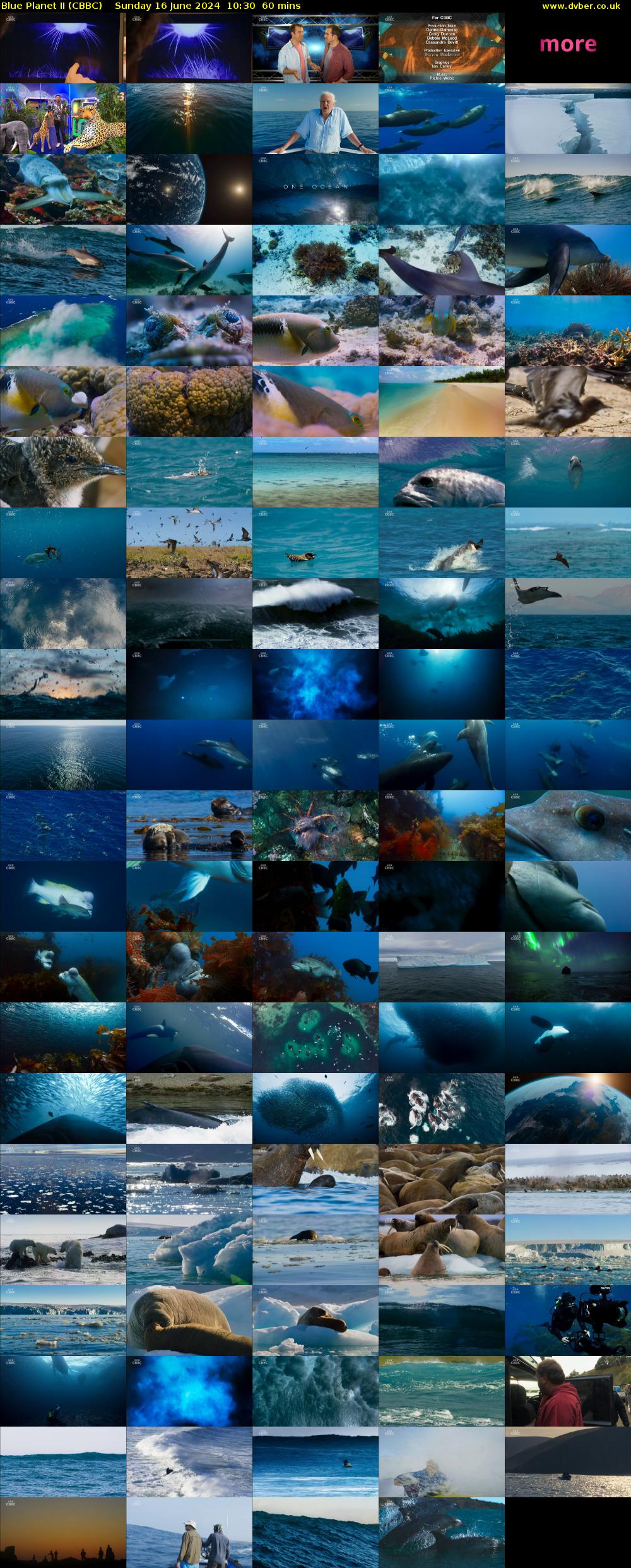 Blue Planet II (CBBC) Sunday 16 June 2024 10:30 - 11:30