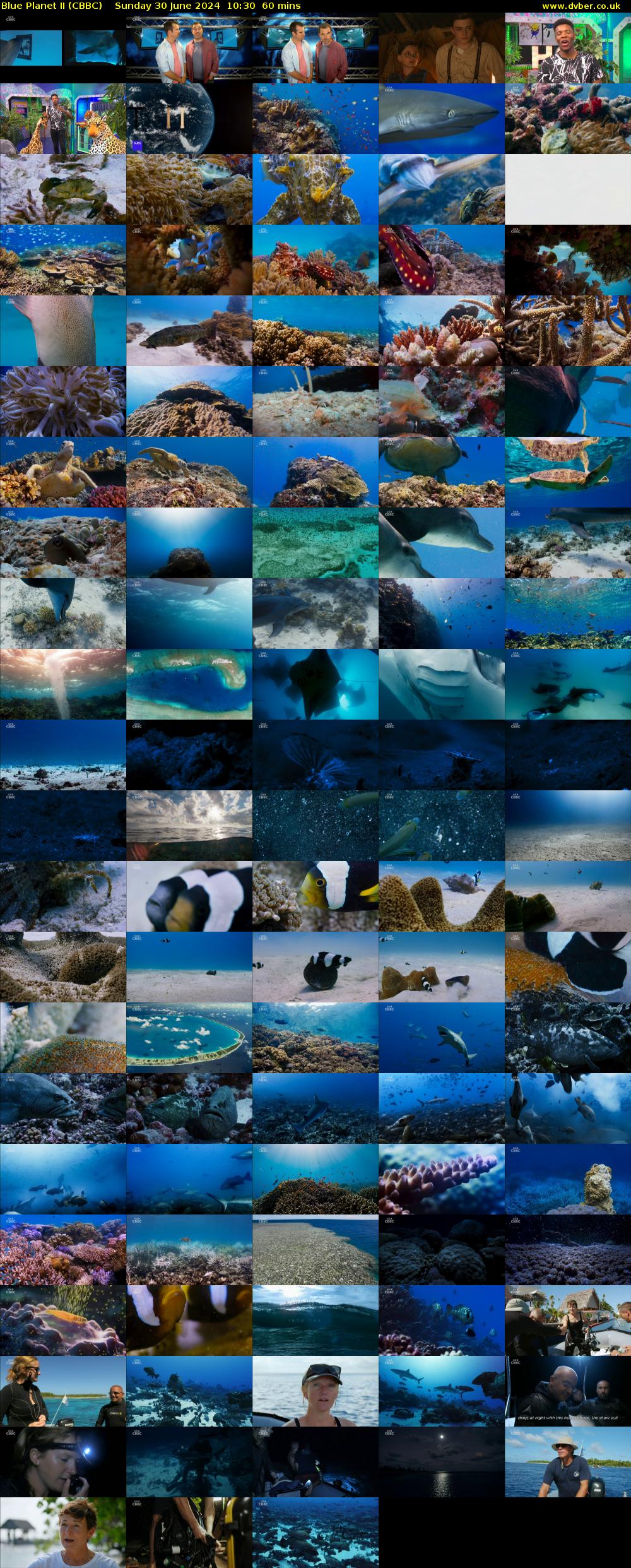 Blue Planet II (CBBC) Sunday 30 June 2024 10:30 - 11:30