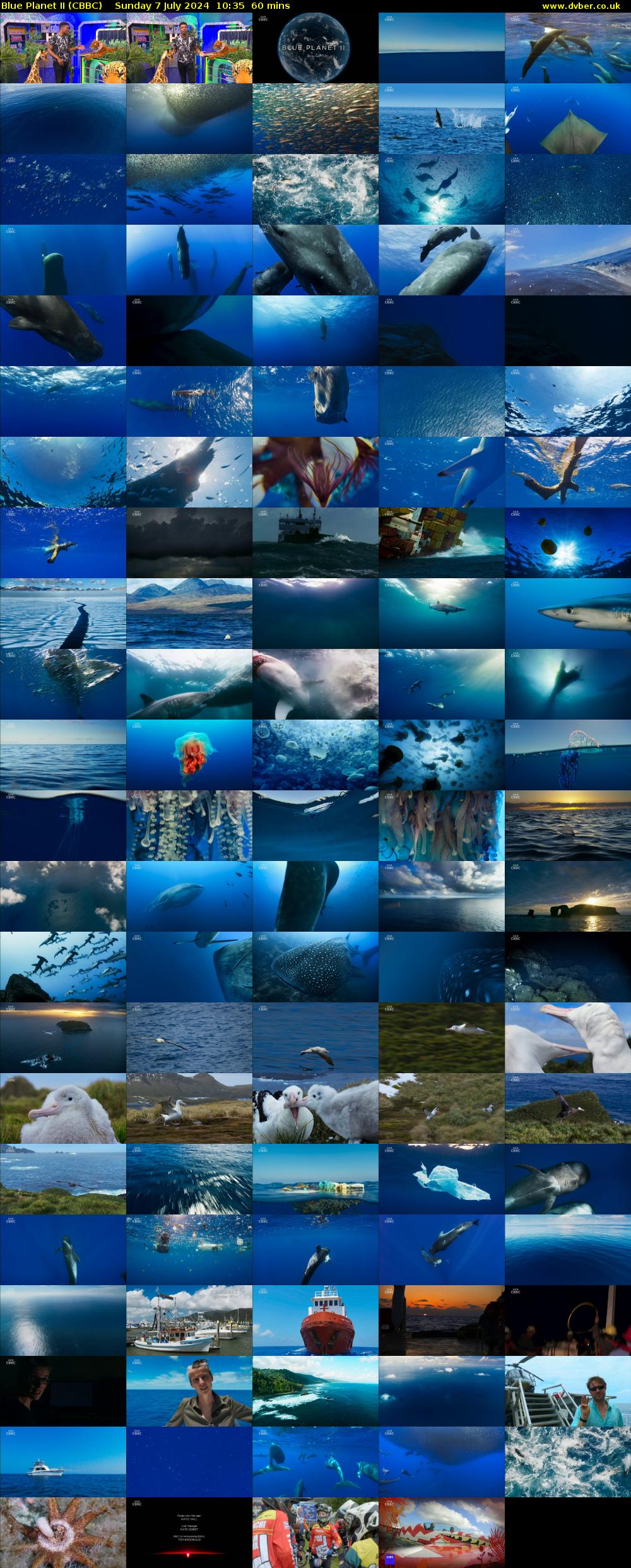 Blue Planet II (CBBC) Sunday 7 July 2024 10:35 - 11:35