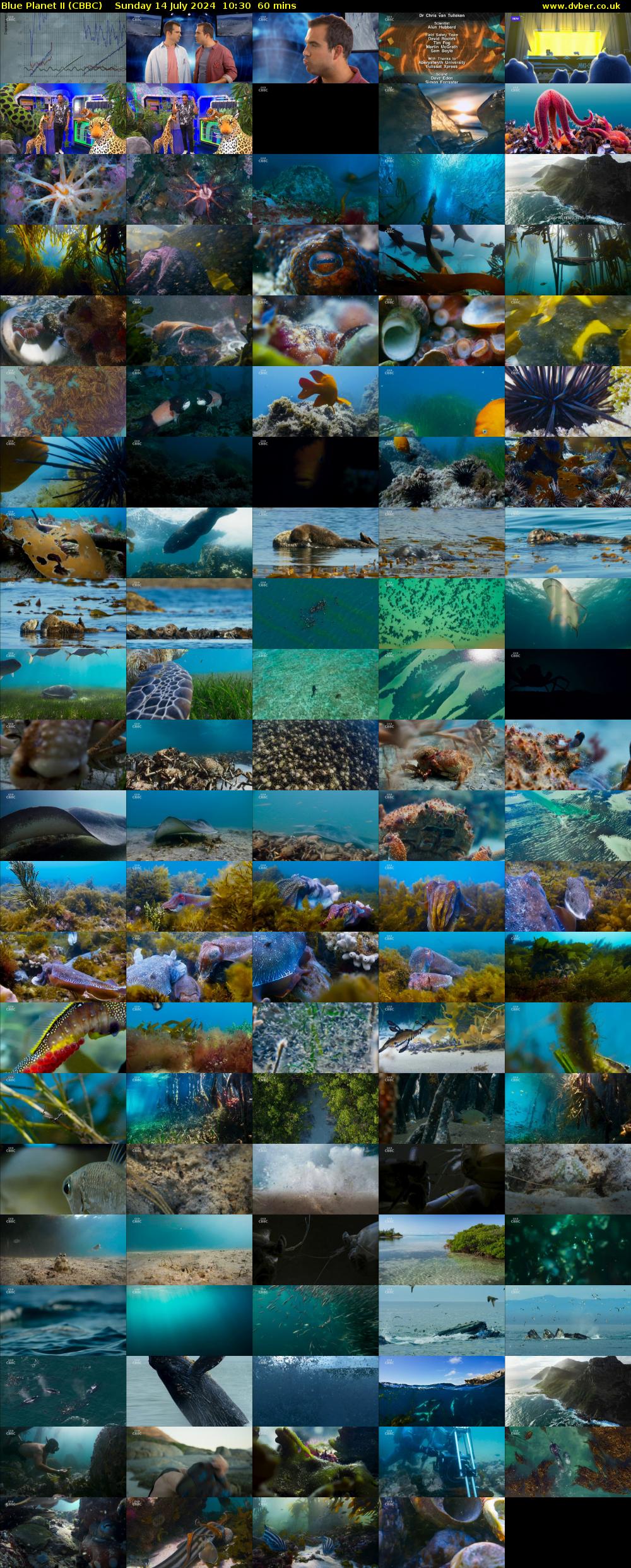 Blue Planet II (CBBC) Sunday 14 July 2024 10:30 - 11:30
