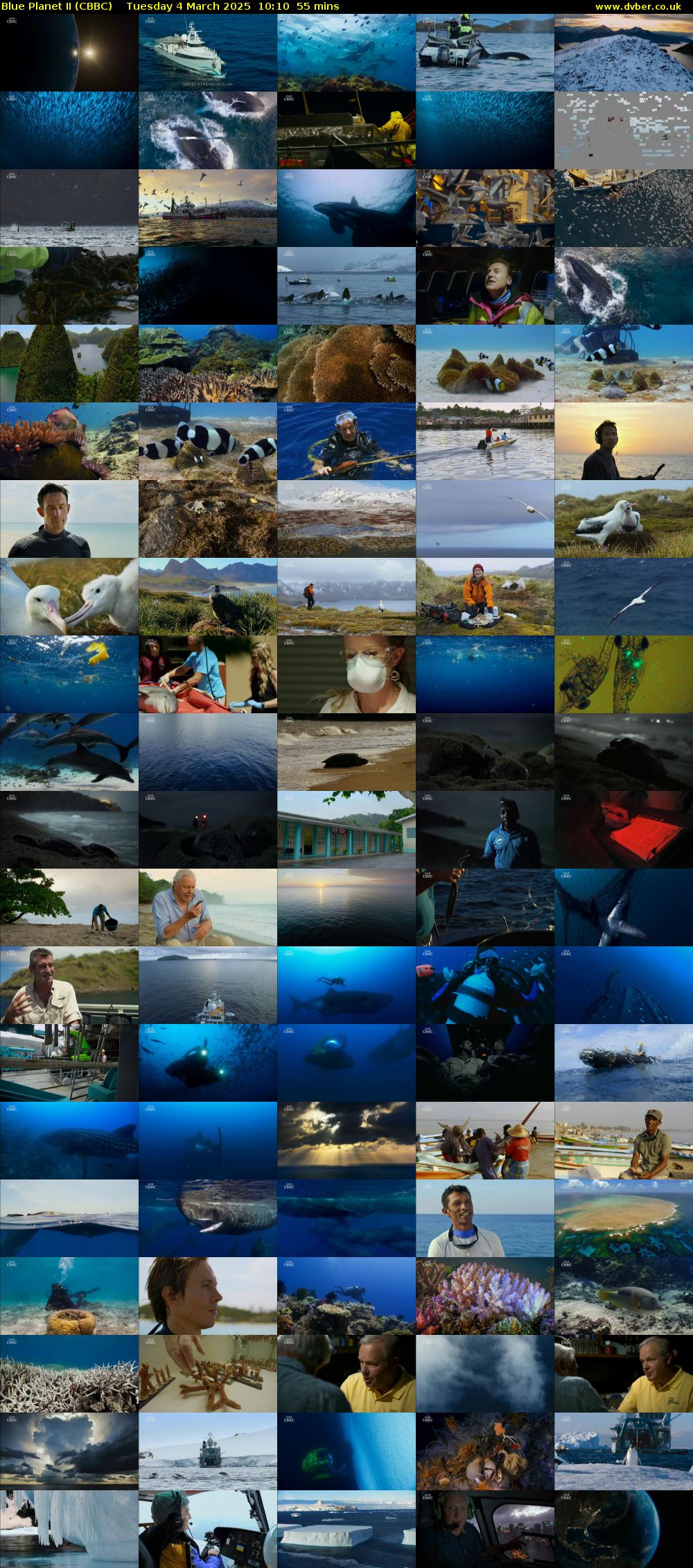 Blue Planet II (CBBC) Tuesday 4 March 2025 10:10 - 11:05