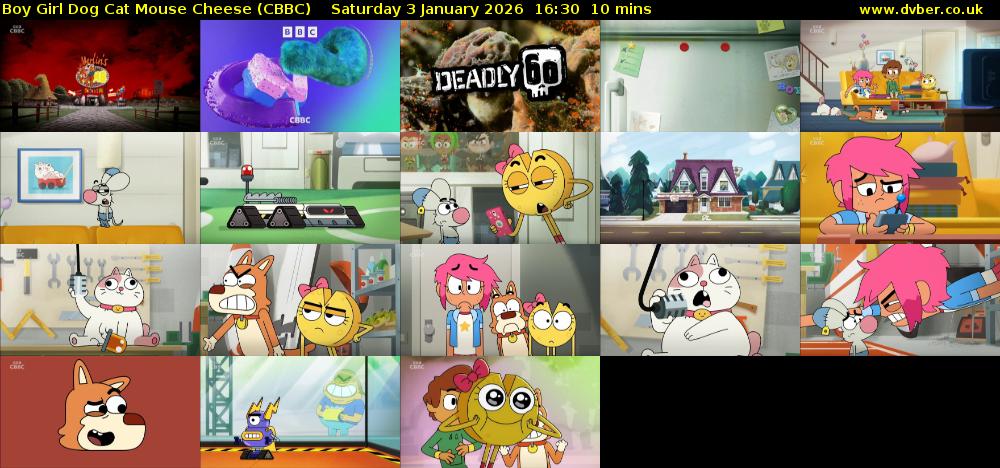 Boy Girl Dog Cat Mouse Cheese (CBBC) Saturday 3 January 2026 16:30 - 16:40