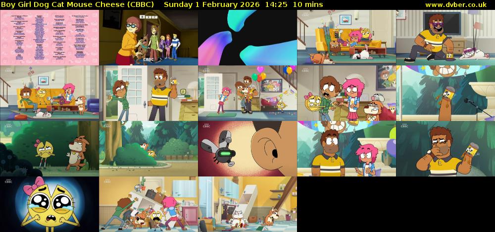 Boy Girl Dog Cat Mouse Cheese (CBBC) Sunday 1 February 2026 14:25 - 14:35