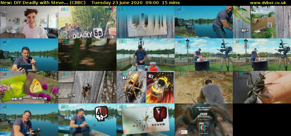 DIY Deadly with Steve... (CBBC) Tuesday 23 June 2020 09:00 - 09:15