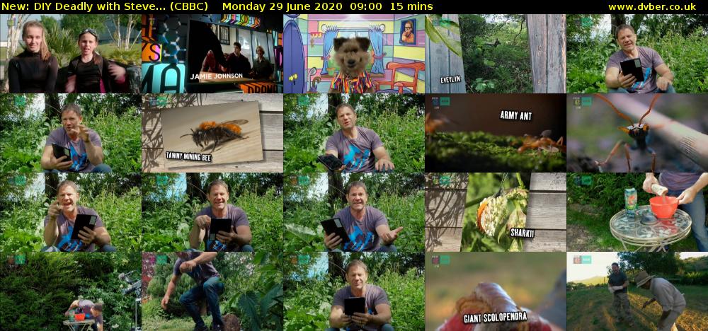 DIY Deadly with Steve... (CBBC) Monday 29 June 2020 09:00 - 09:15