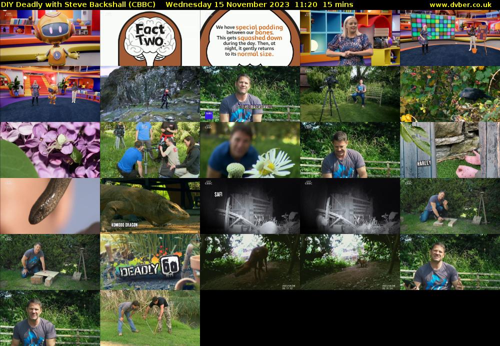 DIY Deadly with Steve Backshall (CBBC) Wednesday 15 November 2023 11:20 - 11:35
