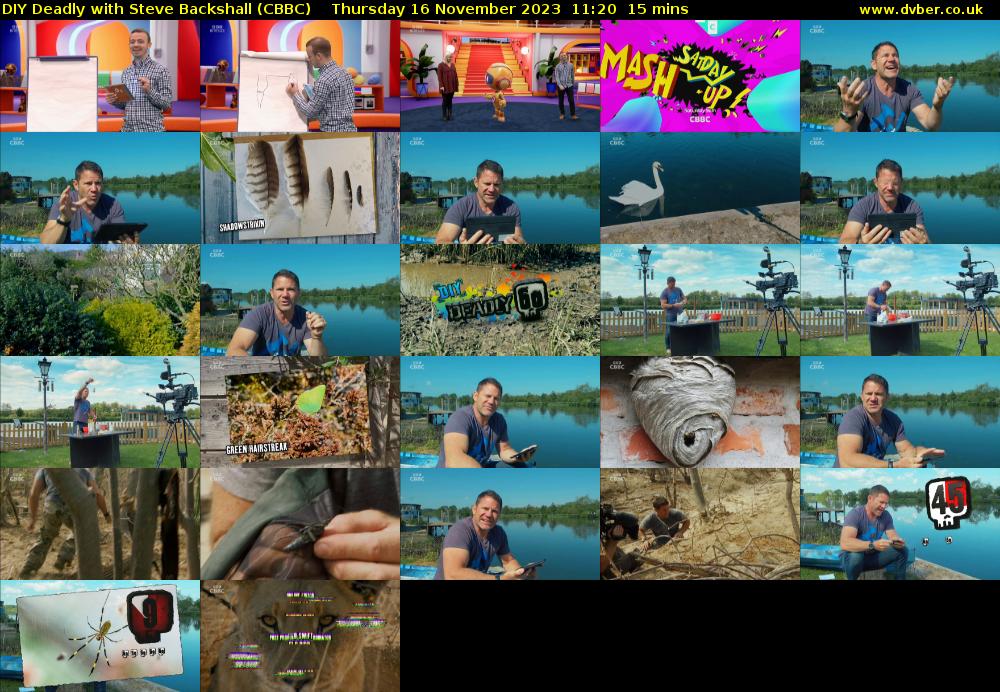 DIY Deadly with Steve Backshall (CBBC) Thursday 16 November 2023 11:20 - 11:35