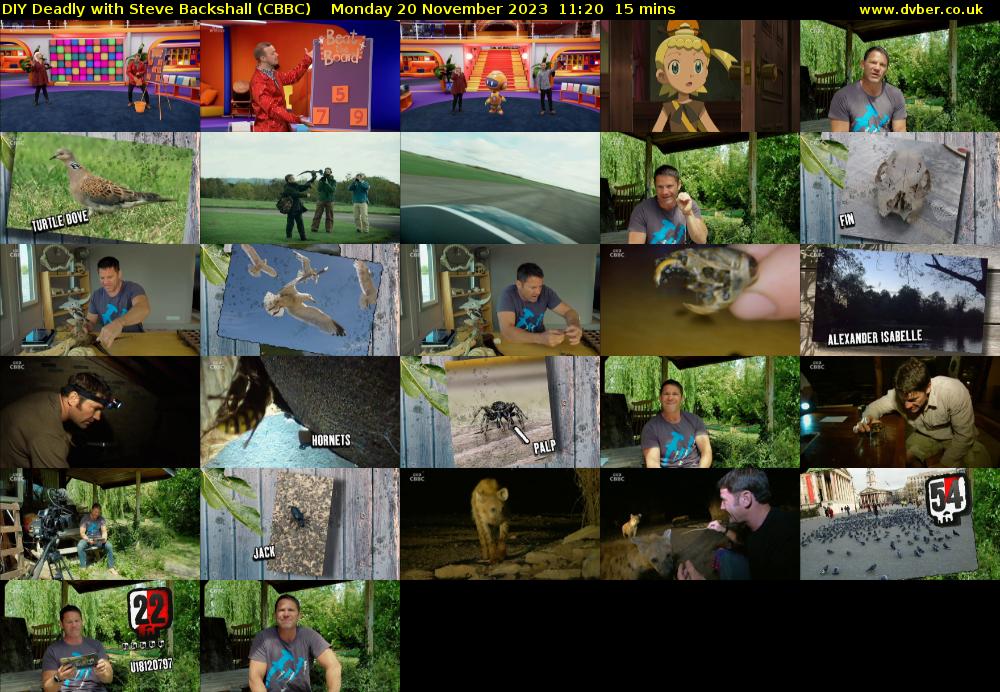 DIY Deadly with Steve Backshall (CBBC) Monday 20 November 2023 11:20 - 11:35