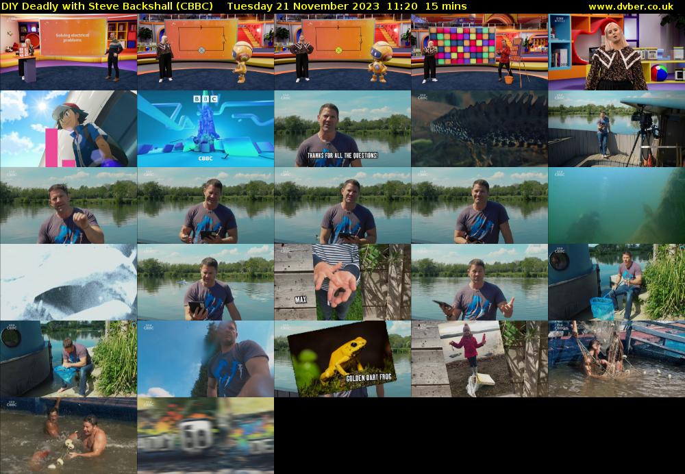 DIY Deadly with Steve Backshall (CBBC) Tuesday 21 November 2023 11:20 - 11:35