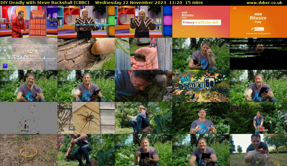 DIY Deadly with Steve Backshall (CBBC) Wednesday 22 November 2023 11:20 - 11:35