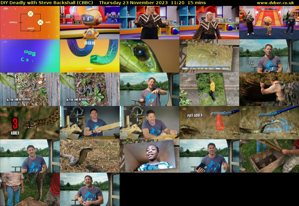 DIY Deadly with Steve Backshall (CBBC) Thursday 23 November 2023 11:20 - 11:35