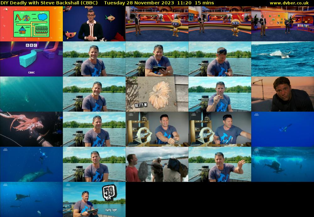 DIY Deadly with Steve Backshall (CBBC) Tuesday 28 November 2023 11:20 - 11:35