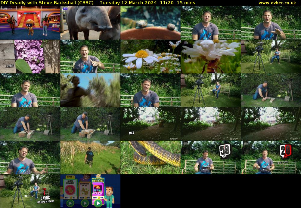 DIY Deadly with Steve Backshall (CBBC) Tuesday 12 March 2024 11:20 - 11:35