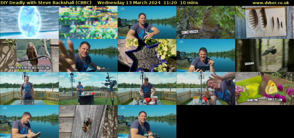 DIY Deadly with Steve Backshall (CBBC) Wednesday 13 March 2024 11:20 - 11:30