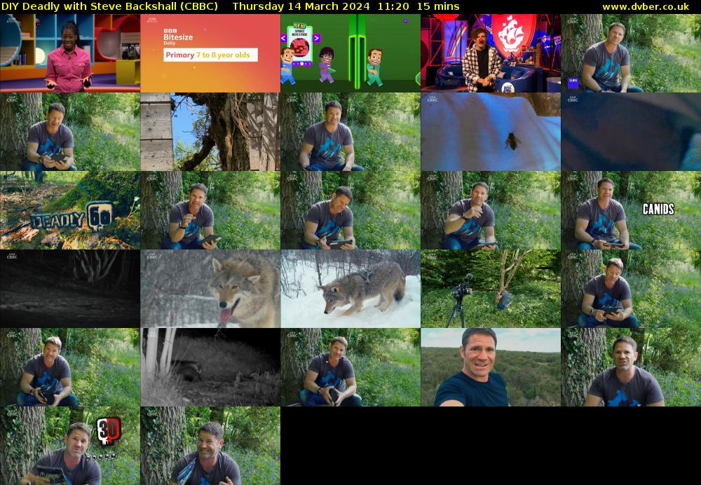 DIY Deadly with Steve Backshall (CBBC) Thursday 14 March 2024 11:20 - 11:35