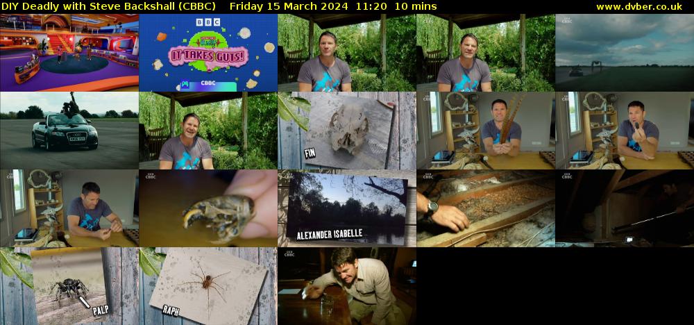 DIY Deadly with Steve Backshall (CBBC) Friday 15 March 2024 11:20 - 11:30