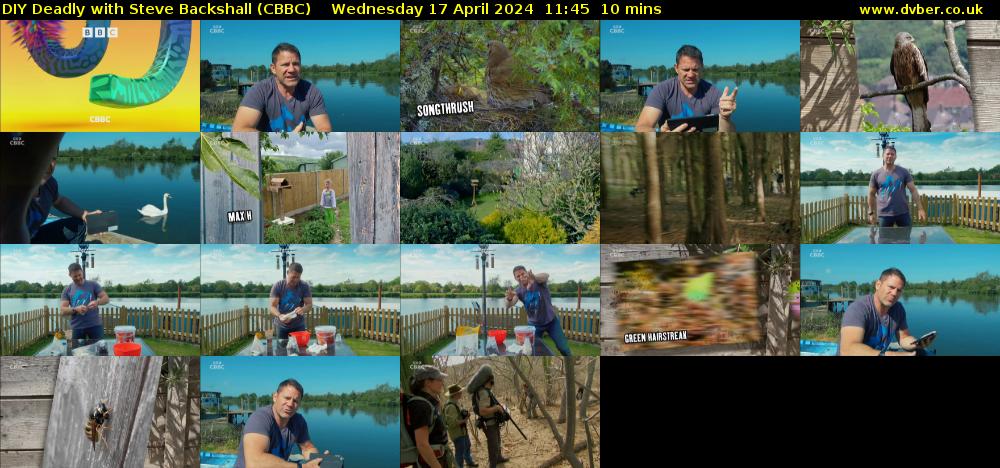 DIY Deadly with Steve Backshall (CBBC) Wednesday 17 April 2024 11:45 - 11:55