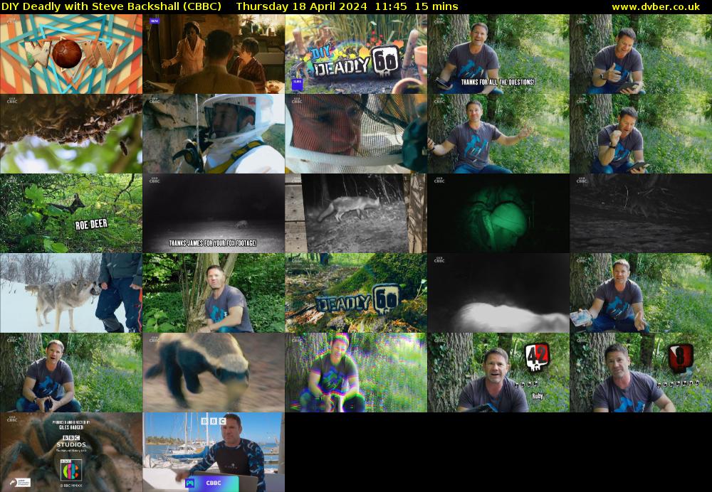 DIY Deadly with Steve Backshall (CBBC) Thursday 18 April 2024 11:45 - 12:00