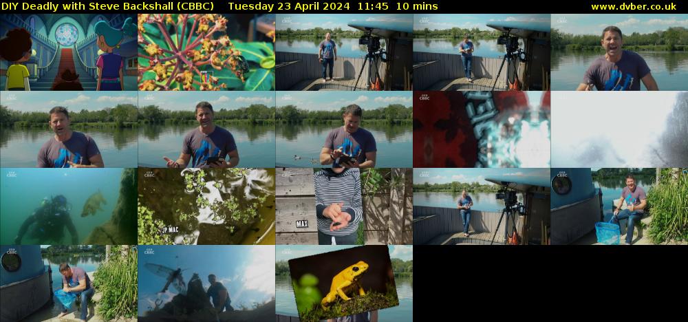 DIY Deadly with Steve Backshall (CBBC) Tuesday 23 April 2024 11:45 - 11:55