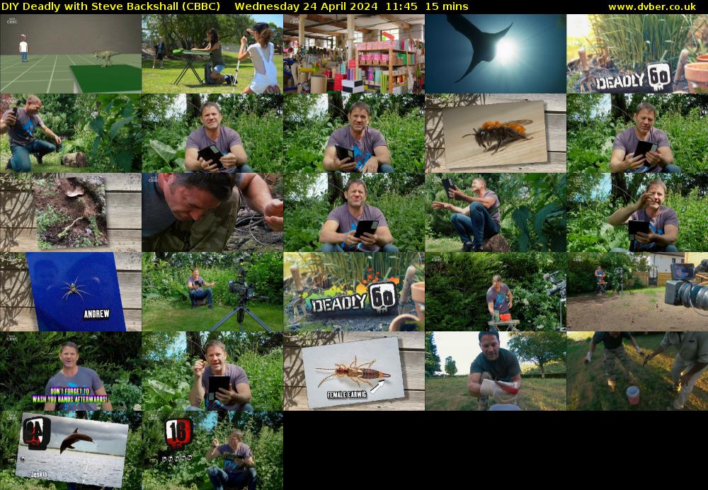 DIY Deadly with Steve Backshall (CBBC) Wednesday 24 April 2024 11:45 - 12:00