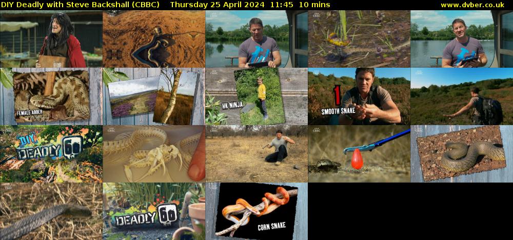 DIY Deadly with Steve Backshall (CBBC) Thursday 25 April 2024 11:45 - 11:55