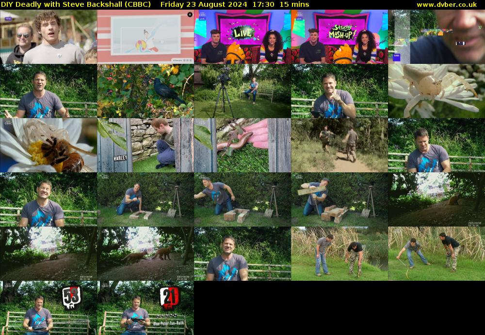 DIY Deadly with Steve Backshall (CBBC) Friday 23 August 2024 17:30 - 17:45