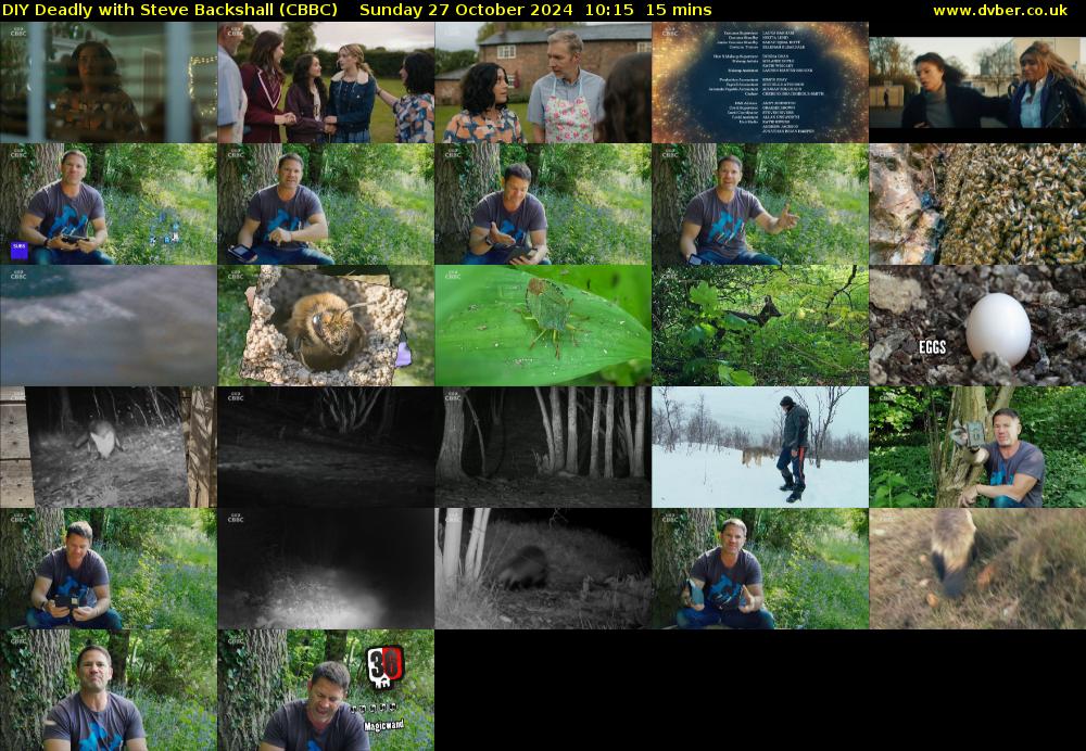 DIY Deadly with Steve Backshall (CBBC) Sunday 27 October 2024 10:15 - 10:30
