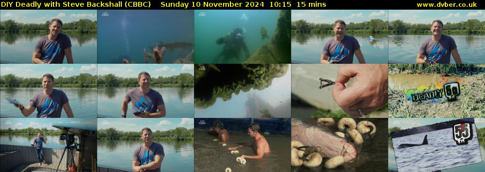 DIY Deadly with Steve Backshall (CBBC) Sunday 10 November 2024 10:15 - 10:30