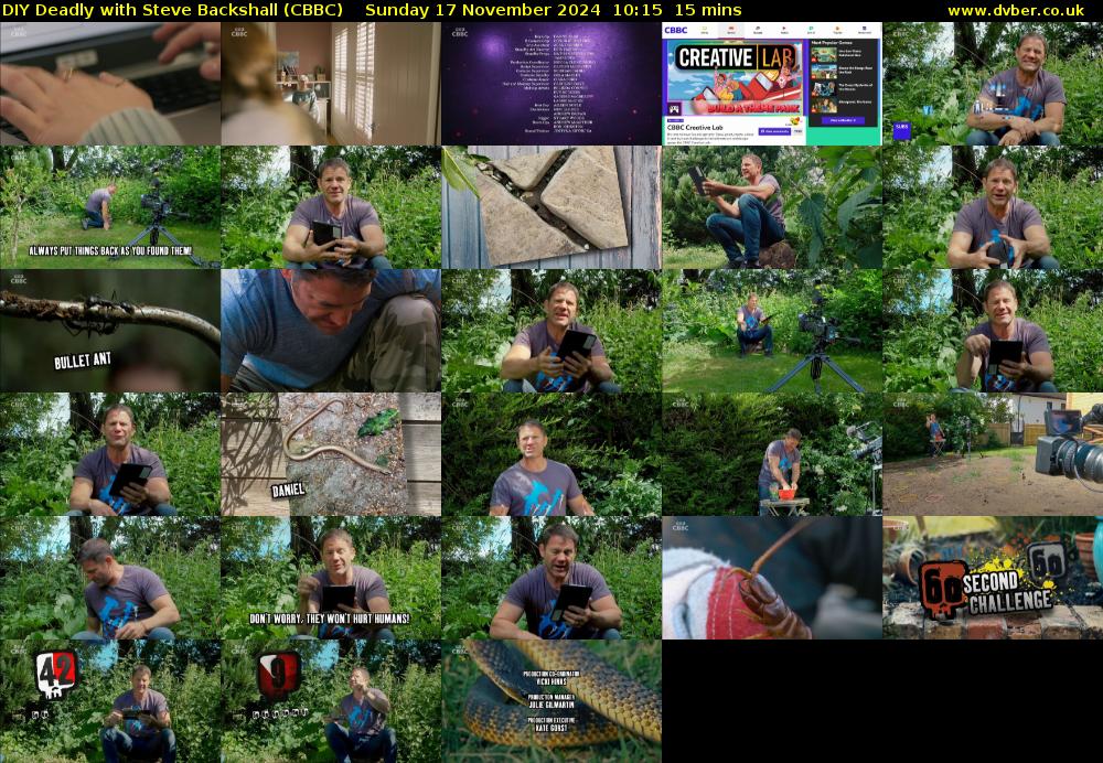 DIY Deadly with Steve Backshall (CBBC) Sunday 17 November 2024 10:15 - 10:30