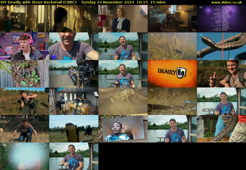 DIY Deadly with Steve Backshall (CBBC) Sunday 24 November 2024 10:15 - 10:30