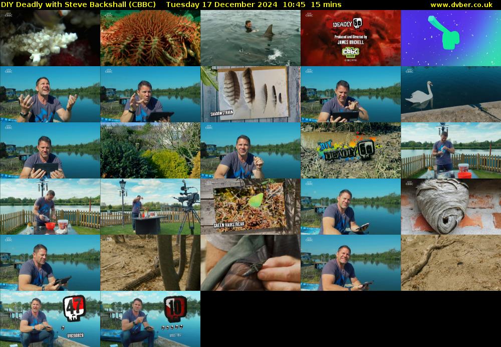 DIY Deadly with Steve Backshall (CBBC) Tuesday 17 December 2024 10:45 - 11:00