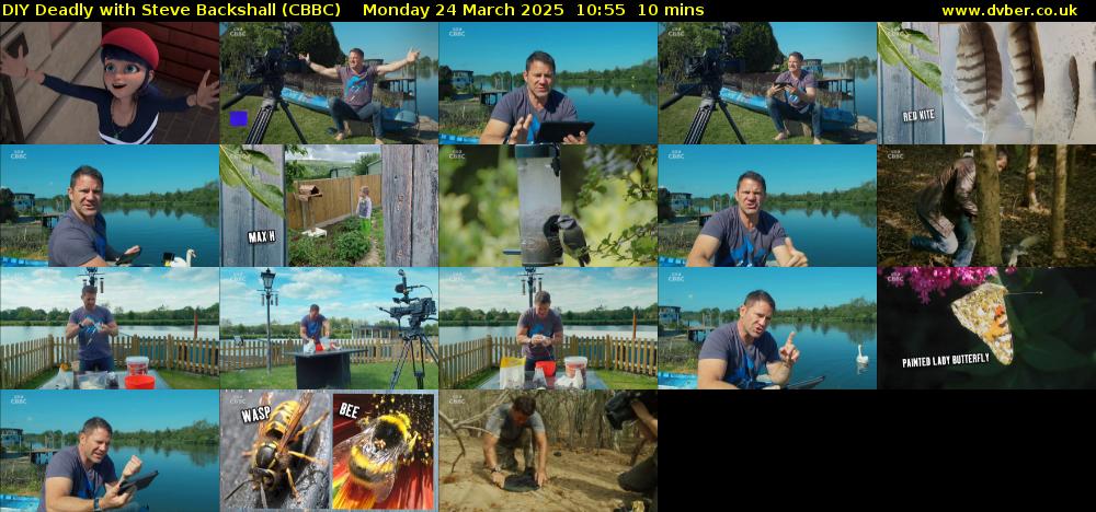 DIY Deadly with Steve Backshall (CBBC) Monday 24 March 2025 10:55 - 11:05