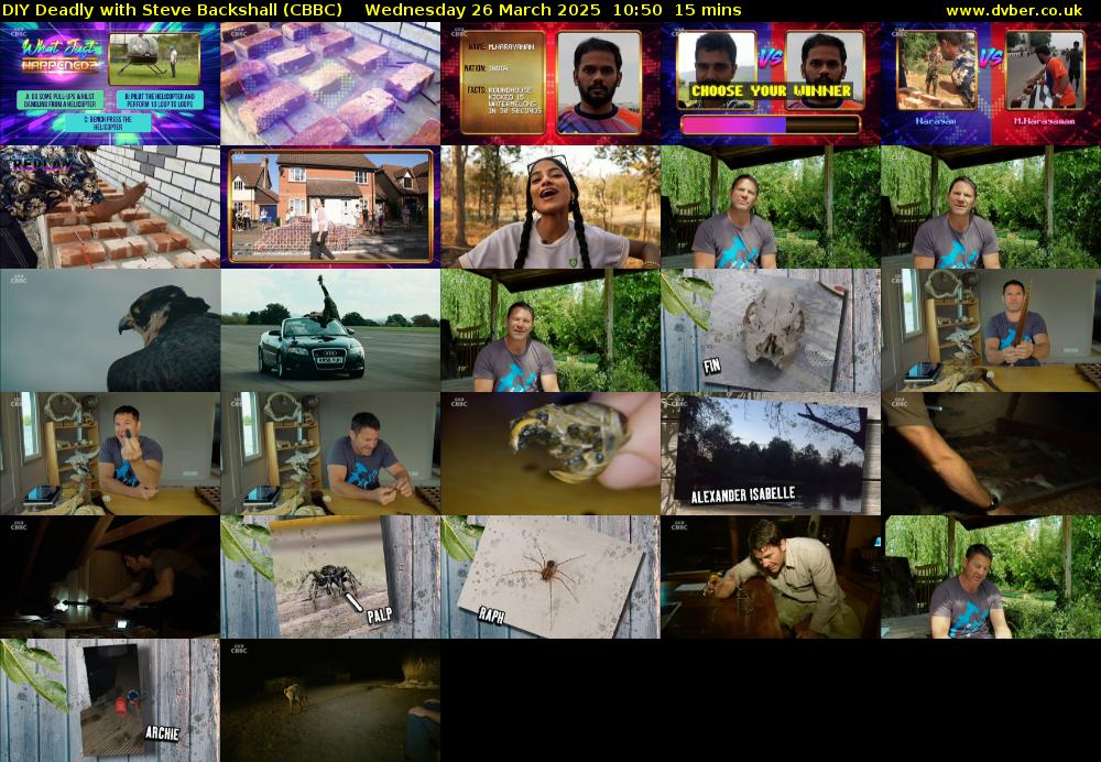 DIY Deadly with Steve Backshall (CBBC) Wednesday 26 March 2025 10:50 - 11:05