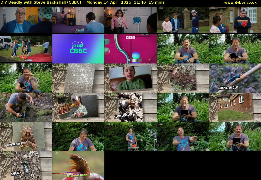 DIY Deadly with Steve Backshall (CBBC) Monday 14 April 2025 11:40 - 11:55