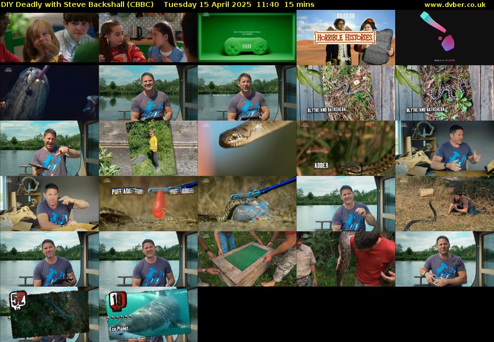 DIY Deadly with Steve Backshall (CBBC) Tuesday 15 April 2025 11:40 - 11:55