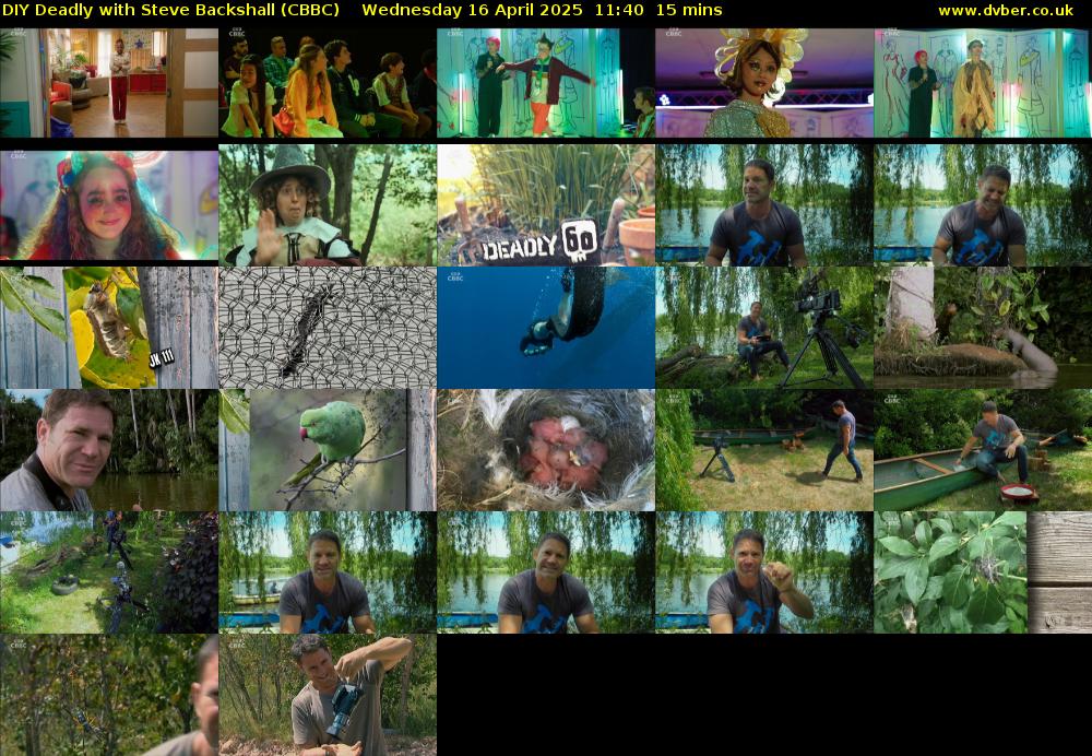 DIY Deadly with Steve Backshall (CBBC) Wednesday 16 April 2025 11:40 - 11:55