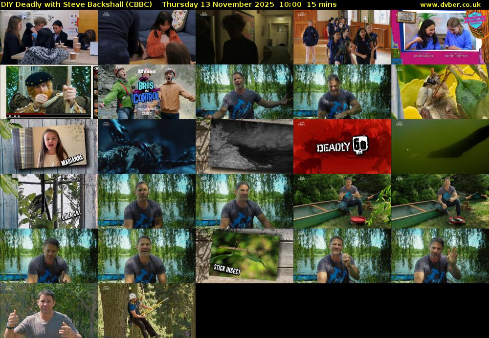 DIY Deadly with Steve Backshall (CBBC) Thursday 13 November 2025 10:00 - 10:15