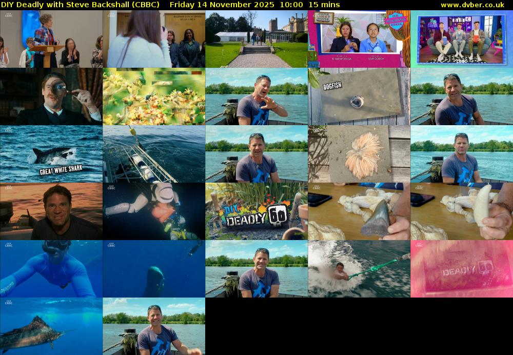 DIY Deadly with Steve Backshall (CBBC) Friday 14 November 2025 10:00 - 10:15