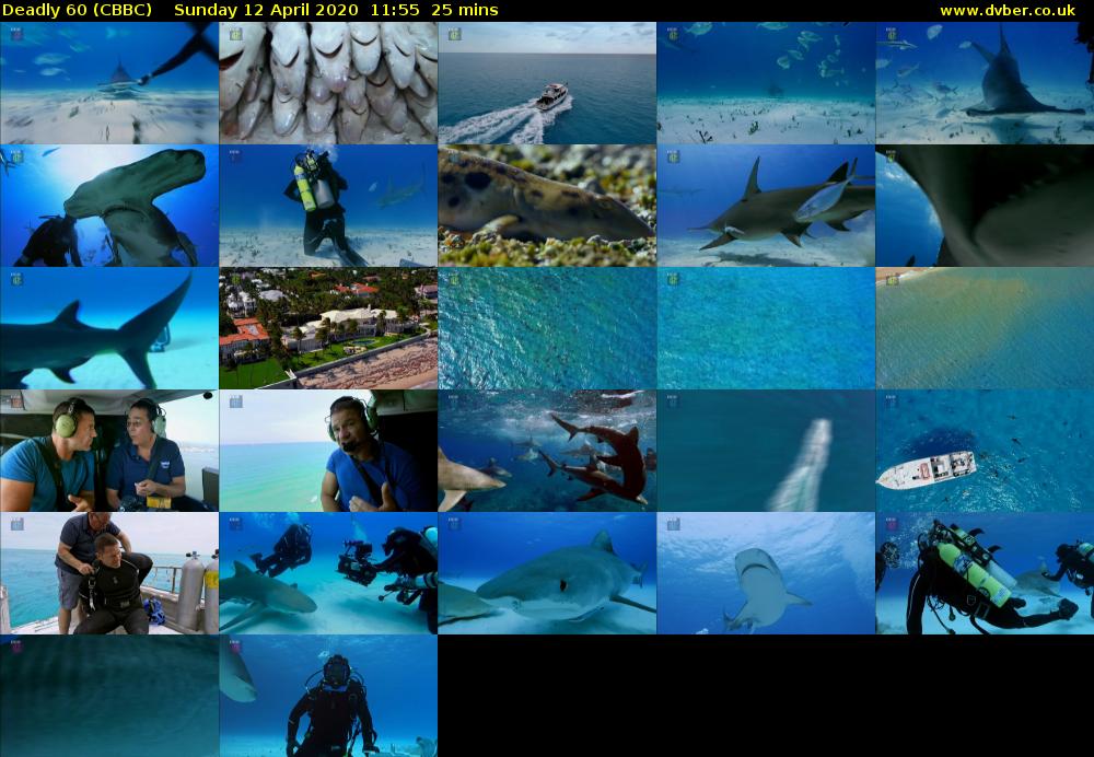 Deadly 60 (CBBC) Sunday 12 April 2020 11:55 - 12:20