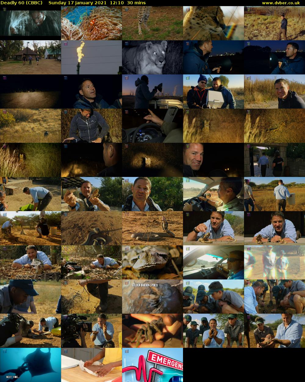 Deadly 60 (CBBC) Sunday 17 January 2021 12:10 - 12:40