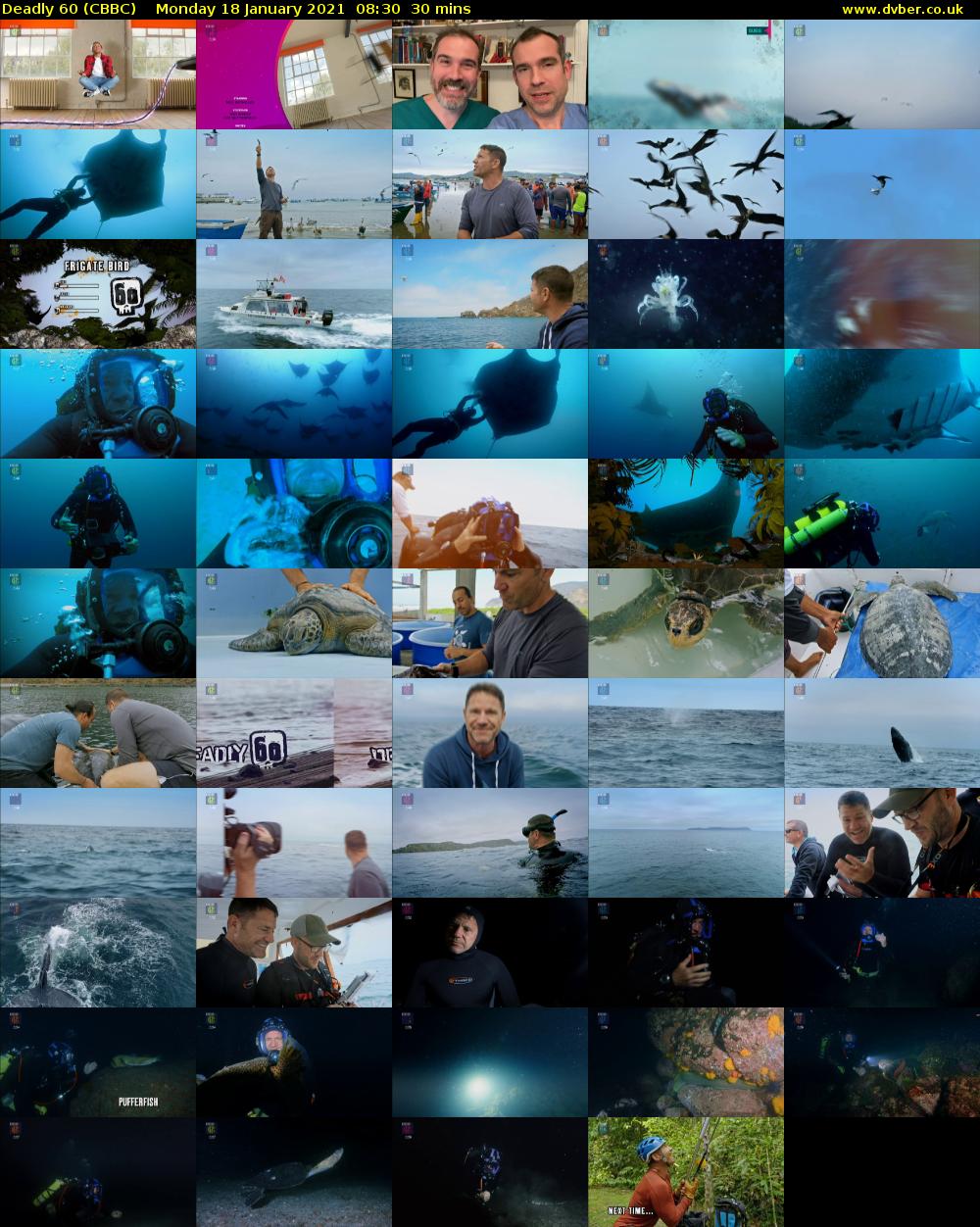 Deadly 60 (CBBC) Monday 18 January 2021 08:30 - 09:00