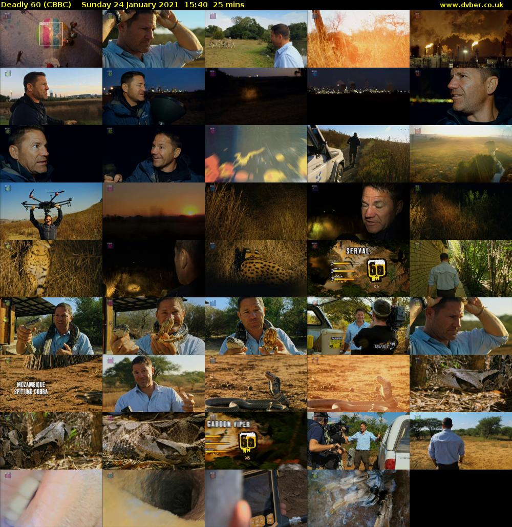 Deadly 60 (CBBC) Sunday 24 January 2021 15:40 - 16:05