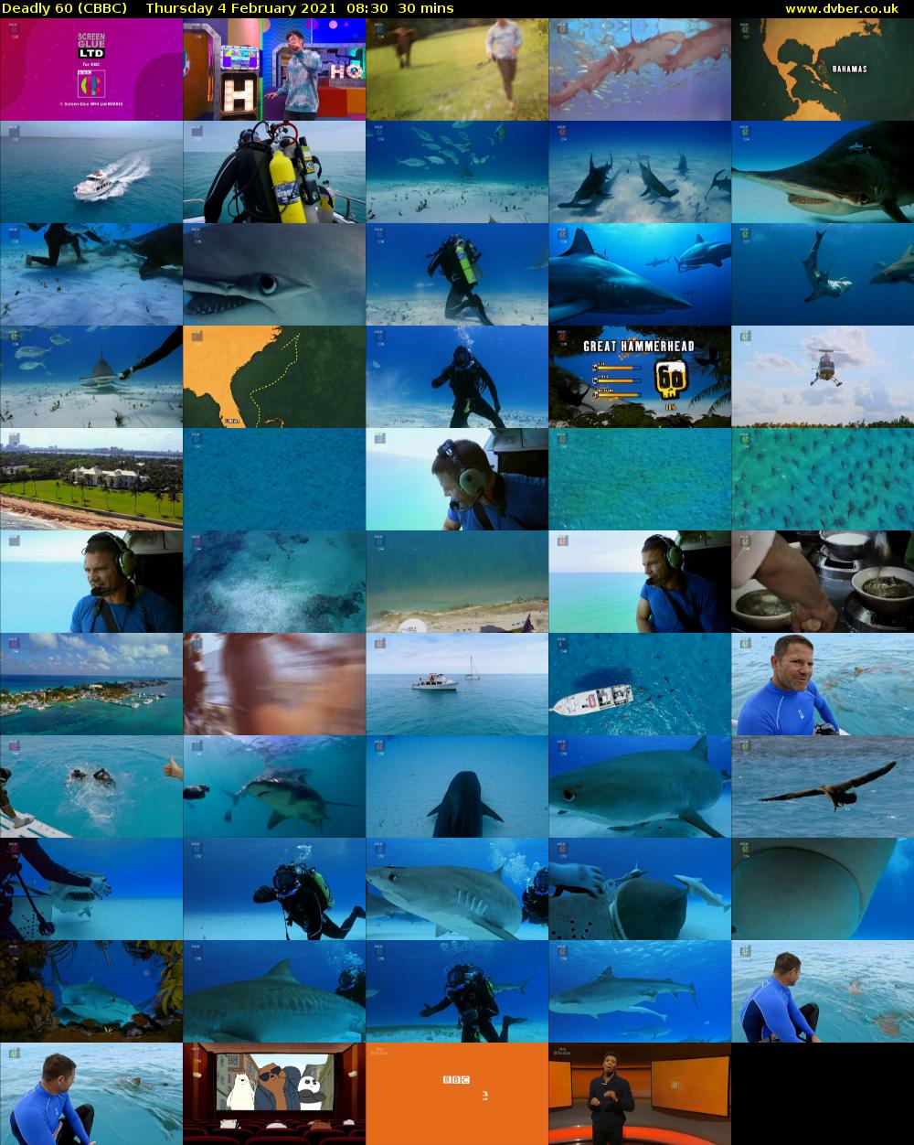 Deadly 60 (CBBC) Thursday 4 February 2021 08:30 - 09:00