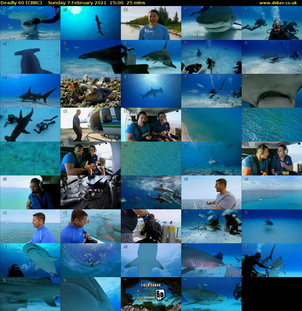 Deadly 60 (CBBC) Sunday 7 February 2021 15:00 - 15:25