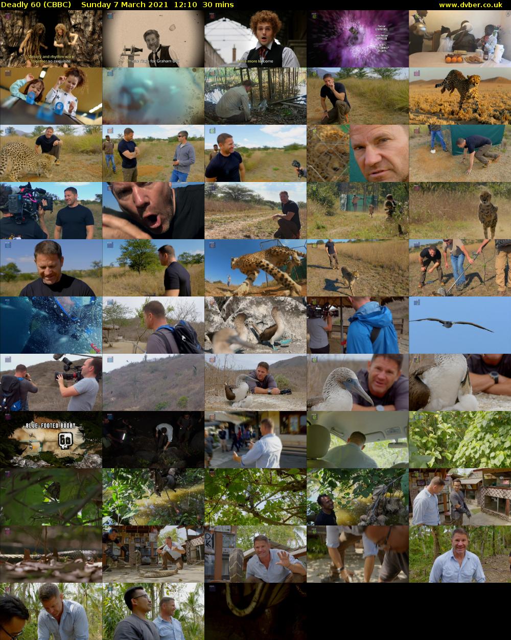 Deadly 60 (CBBC) Sunday 7 March 2021 12:10 - 12:40