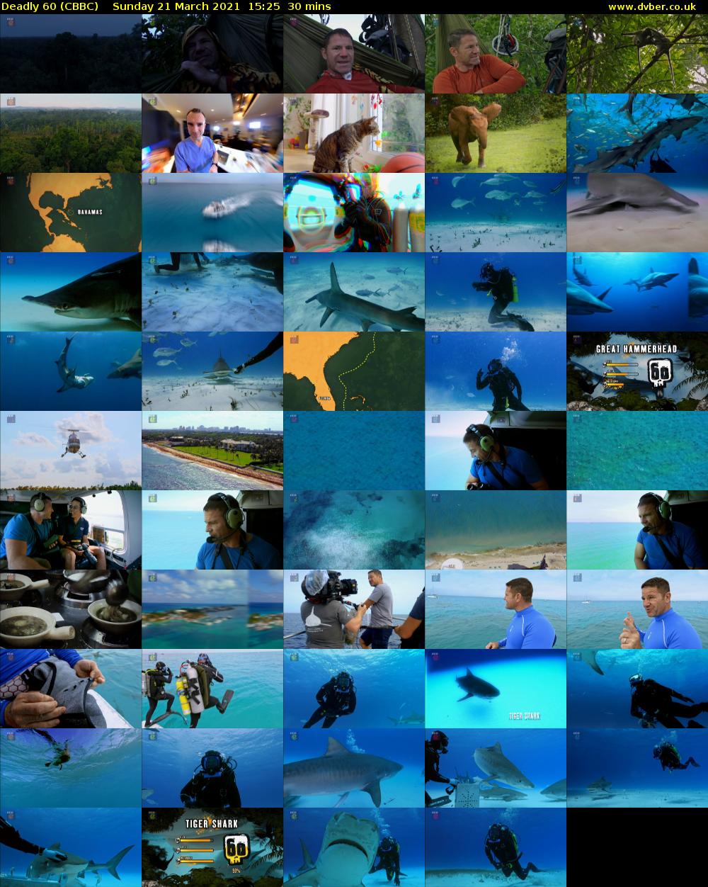 Deadly 60 (CBBC) Sunday 21 March 2021 15:25 - 15:55