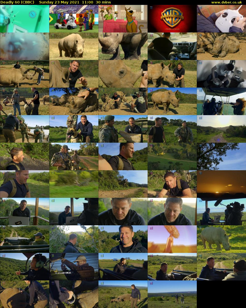 Deadly 60 (CBBC) Sunday 23 May 2021 11:00 - 11:30
