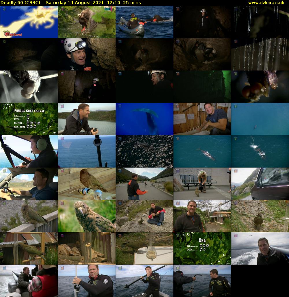 Deadly 60 (CBBC) Saturday 14 August 2021 12:10 - 12:35