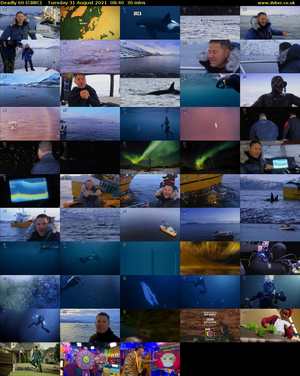 Deadly 60 (CBBC) Tuesday 31 August 2021 08:40 - 09:10