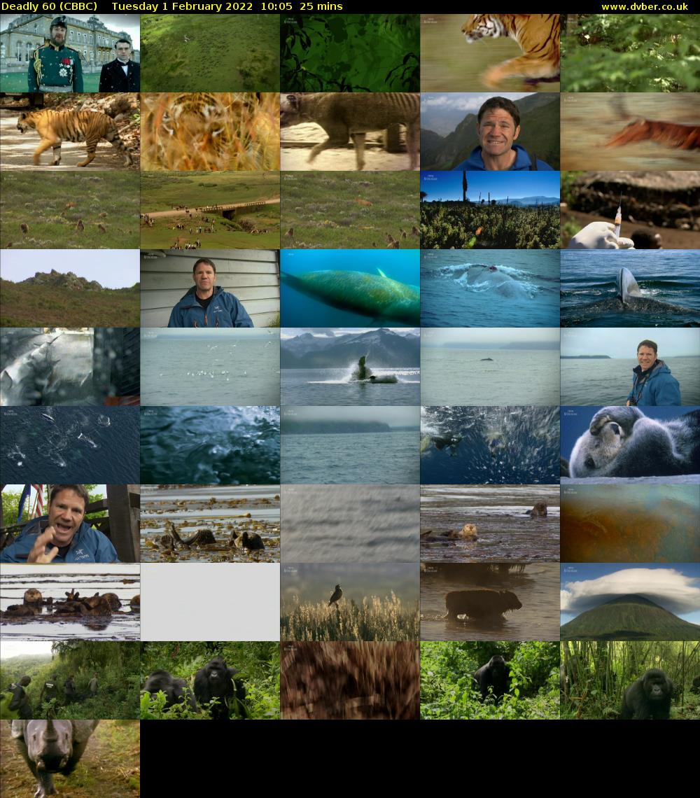 Deadly 60 (CBBC) Tuesday 1 February 2022 10:05 - 10:30